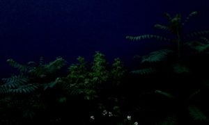 nachts pflanzen vor blauer wand