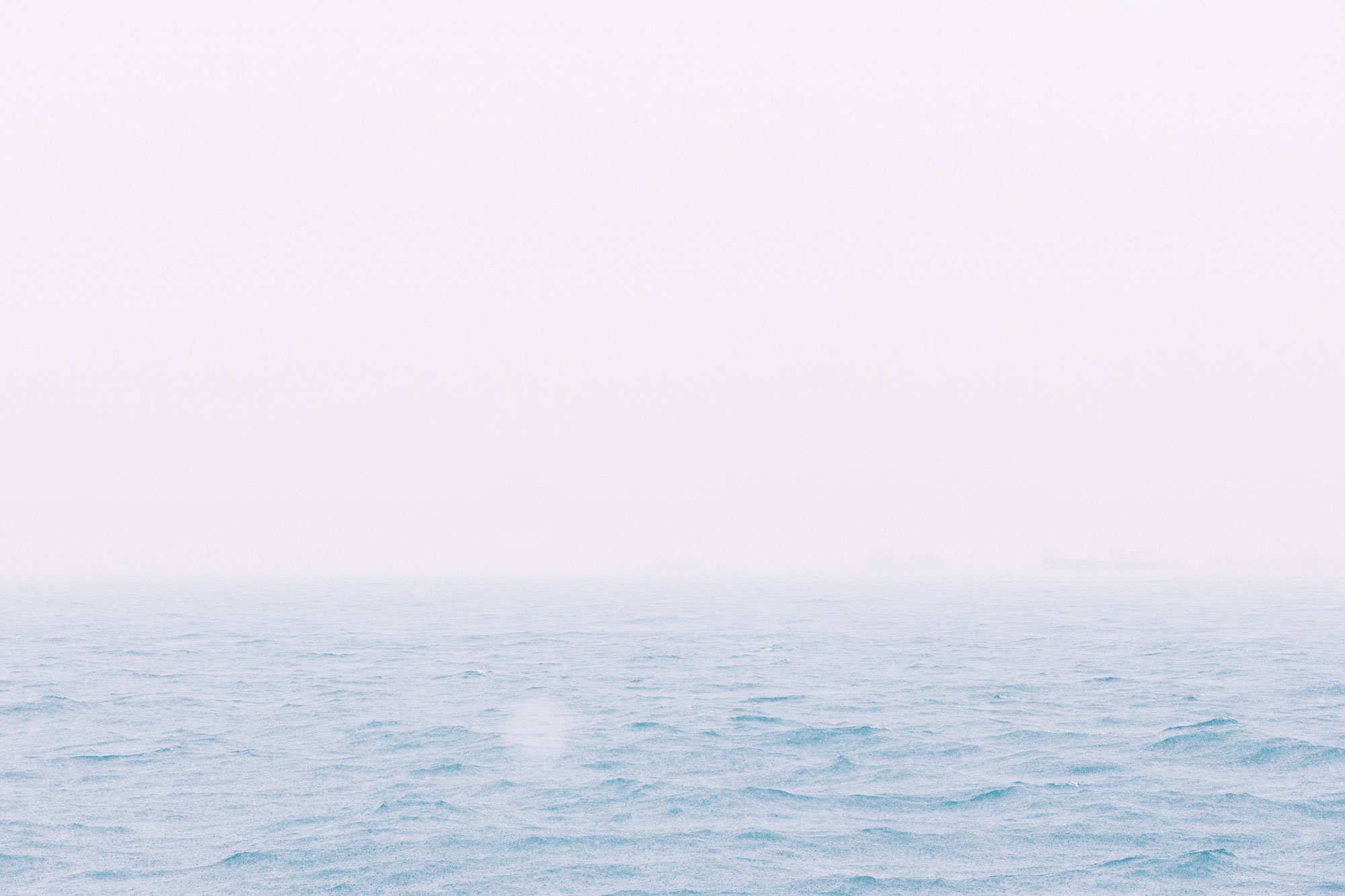mare mer mar meer
