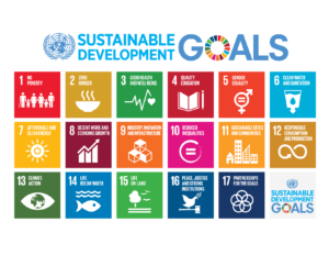 sdg poster