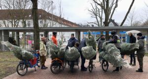 Lastenfahrraeder beladen mit Bioweihnachtsbäumen